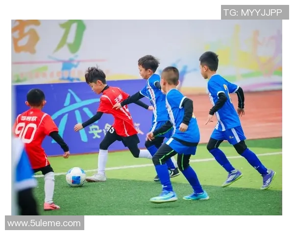 绿茵逐梦新时代中国足球全面振兴与未来发展之路